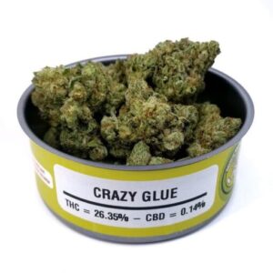 Crazy Glue