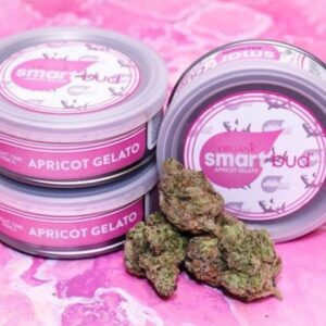 Apricot Gelato SmartBud